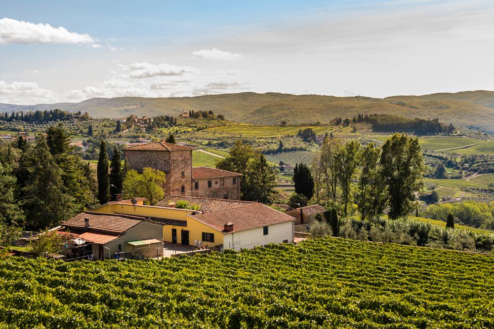 Which wine is good for health? 7 Examples from Melograna