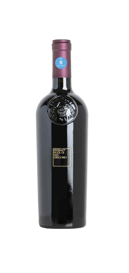 Feudi di San Gregorio Pàtrimo Rosso Irpinia 2013 Red Wine Bottle