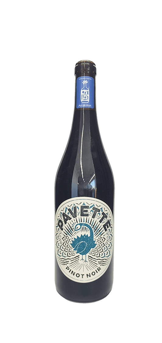 Pinot Noir - Pavette