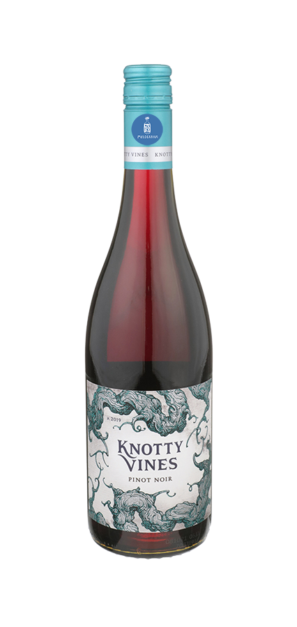 Knotty Vines Pinto Noir California